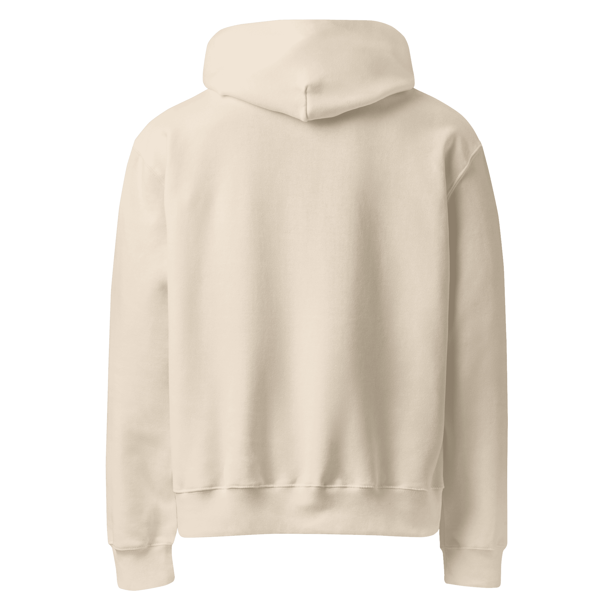 Hula Hoop Embroidered Hoodie