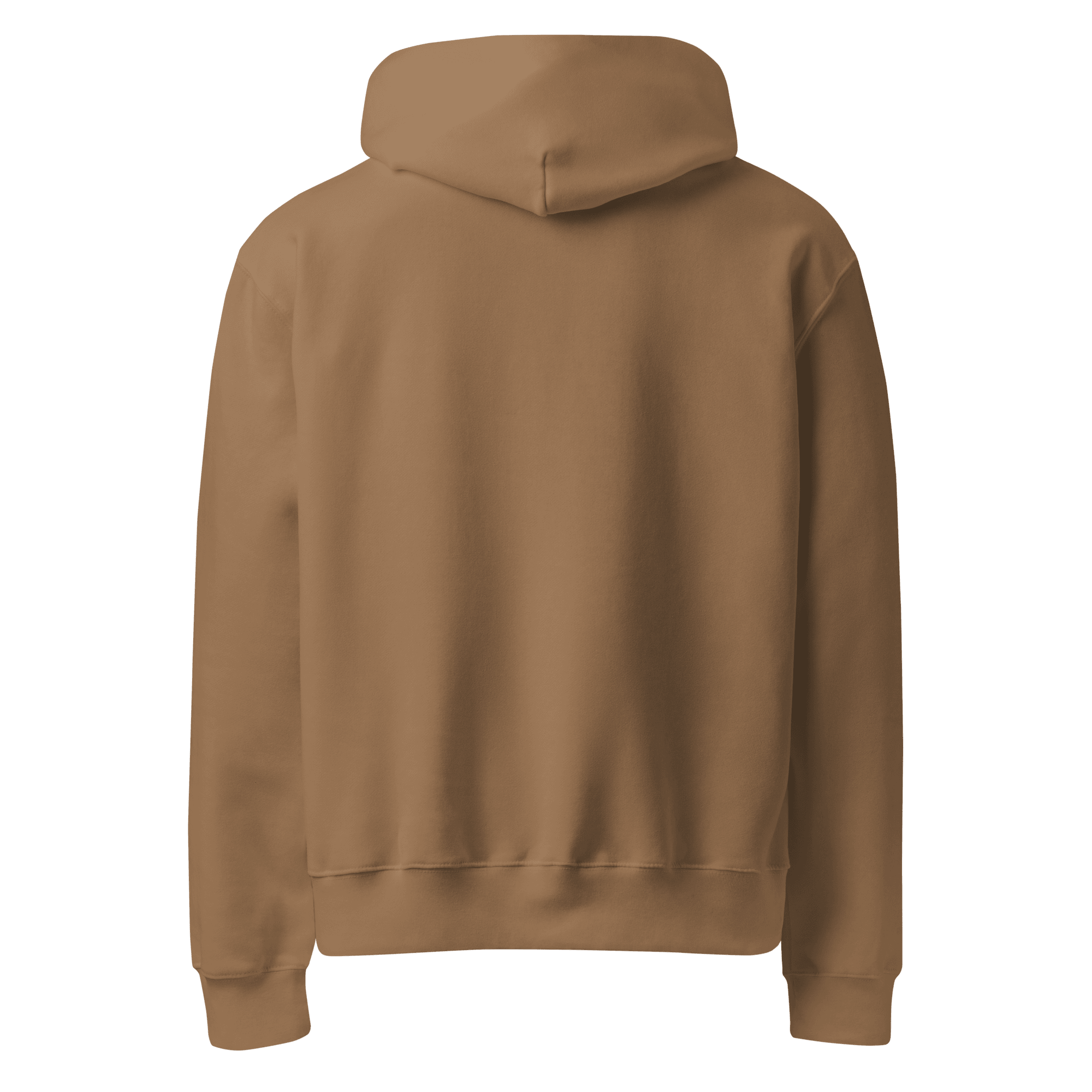 Swimmer Embroidered Hoodie